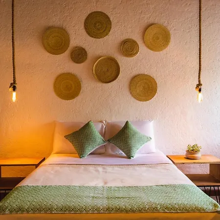 Casa Mayo B&B-2