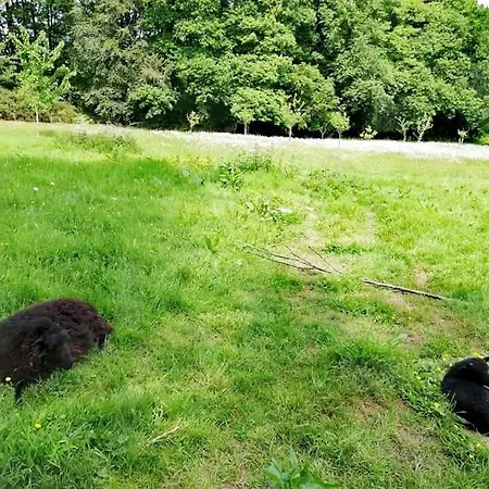 MANOIR DU TERTRE au coeur de la forêt de Brocéliande-3