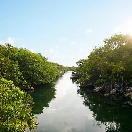 Hotel Xcaret Arte - All Parks All Fun Inclusive - Adults Only-2