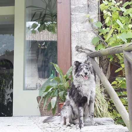 B&B Casa Gori-2