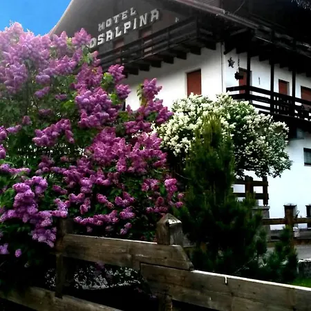 Hotel Rosalpina-2