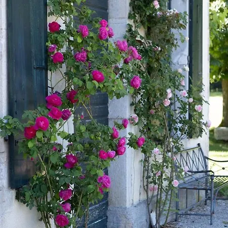 La Villa Palladienne - Château de Syam-3