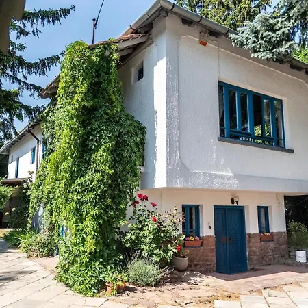 Liget Vendeghaz-3