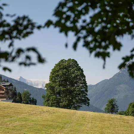 Alpin Residenz Dachsteinperle-2