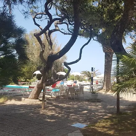 Hotel Silvi-3