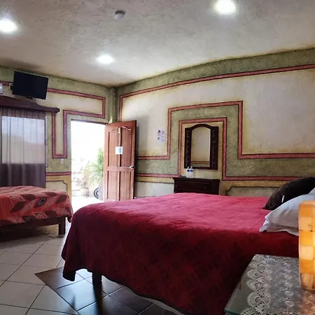 Hotel Casa del Arbol-2