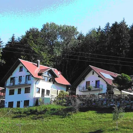 Gasthof Grüner Baum Kongo-2
