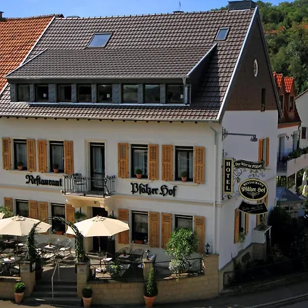 Hotel Pfälzer Hof-2