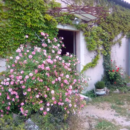 Le Domaine de Belle-3