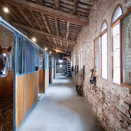 Can Borrell Villa Carmen-3