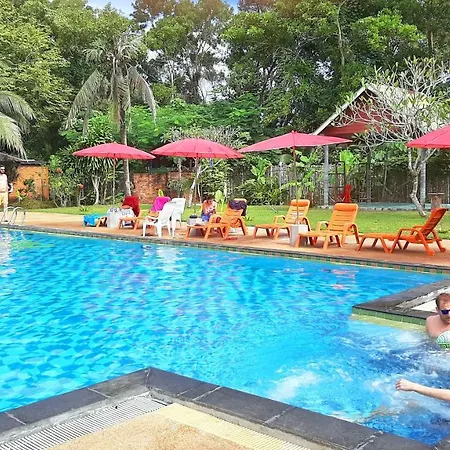 Doo Dee Boutique Resort By Swiss Chalet-2