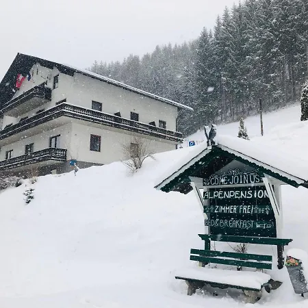 Alpenpension Gasthof-3
