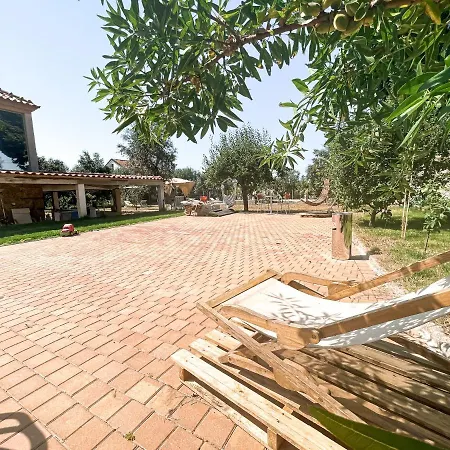 Dignus House-2