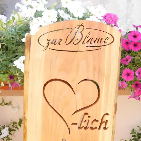 Hotel Landgasthof Blume-2