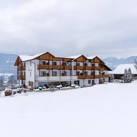 Hotel Lindnerhof-3