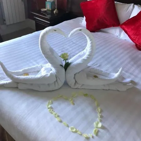 Seawood House Boutique Hotel-3