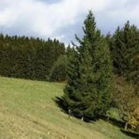 Landgasthof Hauser OHG-3