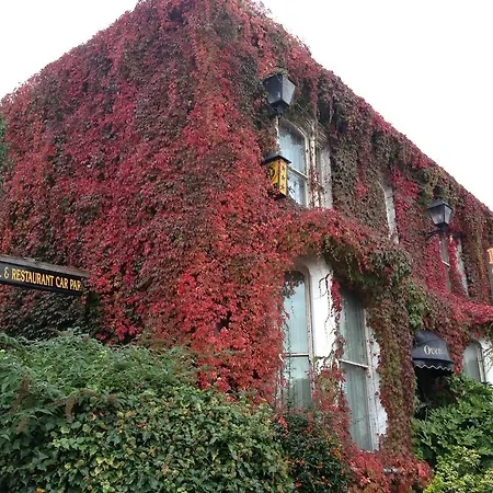 Overcliffe Hotel-3