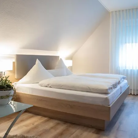 Hotel Zum kühlen Grunde-3