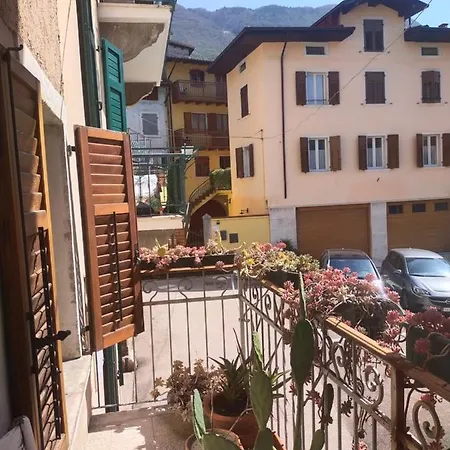 La tana dell'artista-2