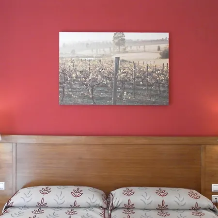 Hotel Milagros Rio Riaza-2