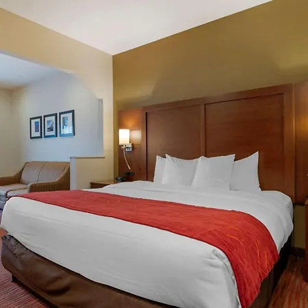 Comfort Suites Columbus Expo Center-2