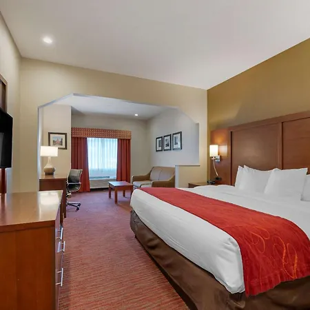 Comfort Suites Columbus Expo Center-3