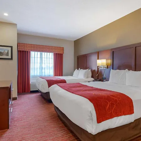 Comfort Suites Columbus Expo Center-3