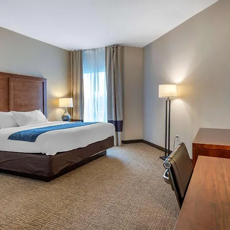 Comfort Inn Apalachin - Binghamton W Route 17-2