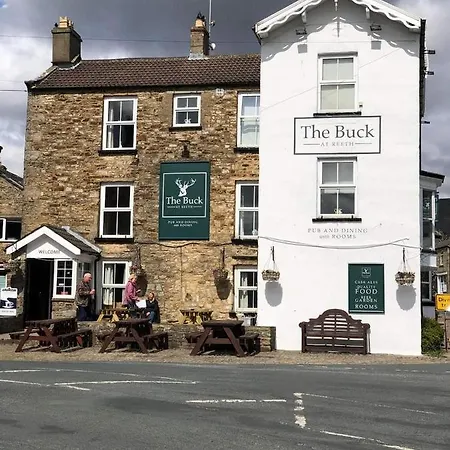 The Buck-3