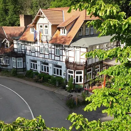 Hotel Zur Luppbode-2