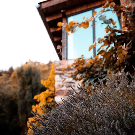 Maison d'hôtes Le Hameau de la Mûre-3