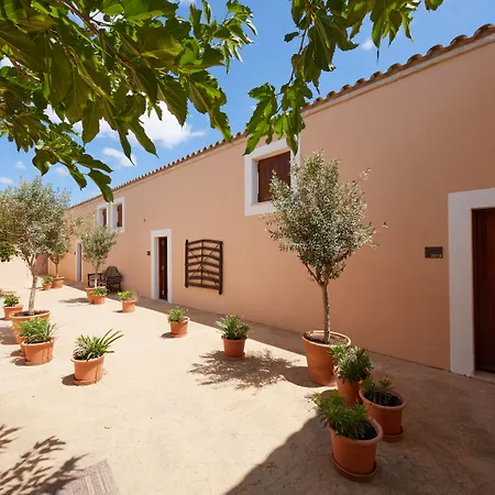 Zoetry Mallorca Wellness & Spa (Adults Only)-3