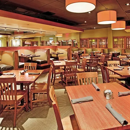 Doubletree By Hilton Manchester Airport-2