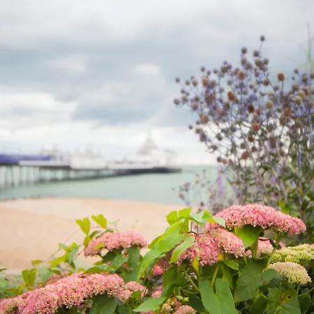 Citrus Hotel Eastbourne By Compass Hospitality-3