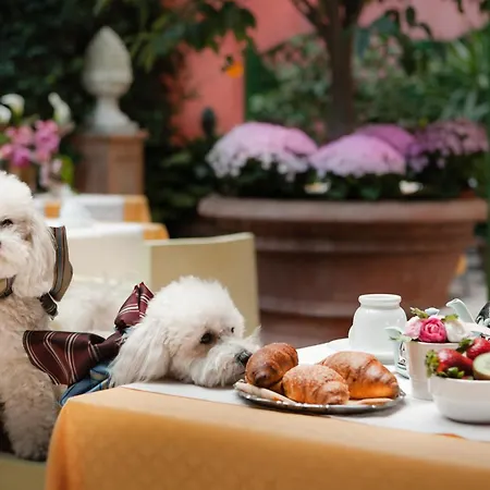 Hotel Palazzo dal Borgo-2