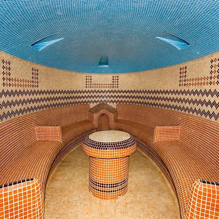 Rubin Wellness & Conference Hotel-2