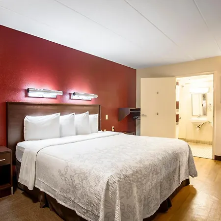 Red Roof Inn Plus+ St. Louis - Forest Park / Hampton Ave.-3