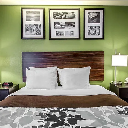 Spark By Hilton Louisville Airport-3