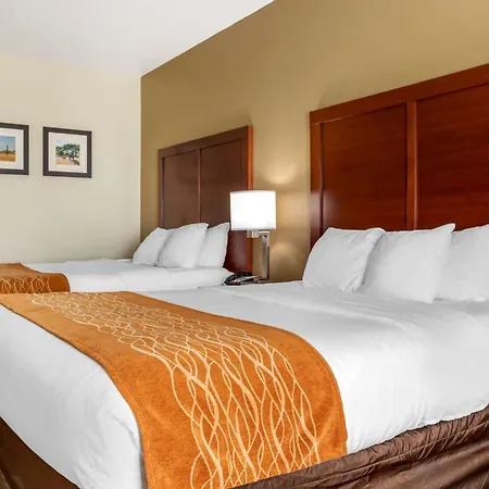 Comfort Inn Near Unt-2