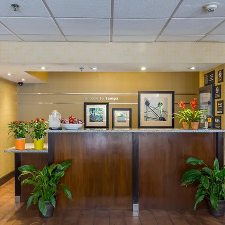 Hilton Tampa Airport Westshore-3