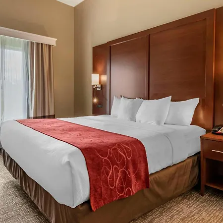Comfort Suites Manheim - Lancaster-3
