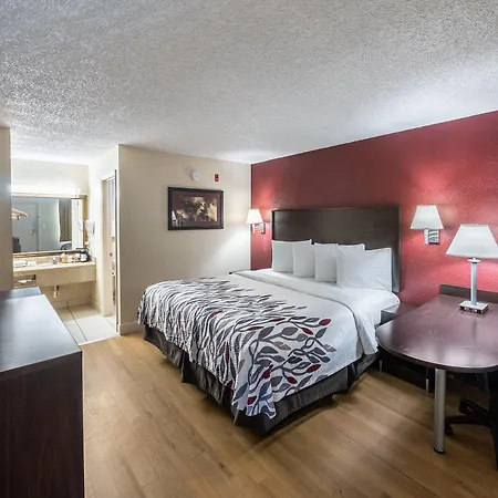 Red Roof Inn Orlando South - Florida Mall-2