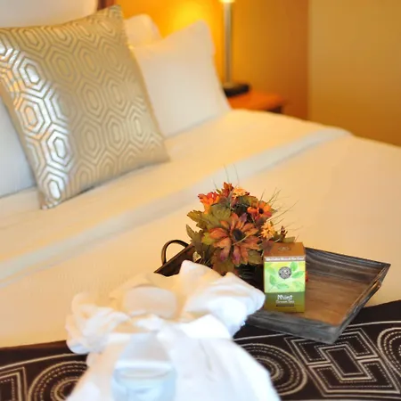 Hotel Xola Trademark Collection By Wyndham-2