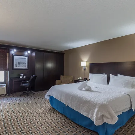 Spark By Hilton Tampa Brandon-2