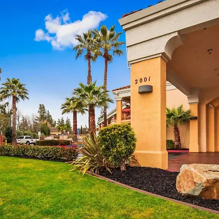 Best Western Palm Court Inn-3