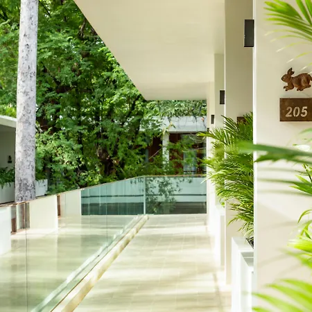 Fcc Angkor By Avani-3