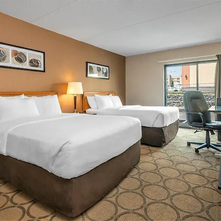 Comfort Inn Winnipeg South-3
