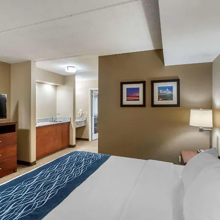 Comfort Inn & Suites Jackson - West Bend-3