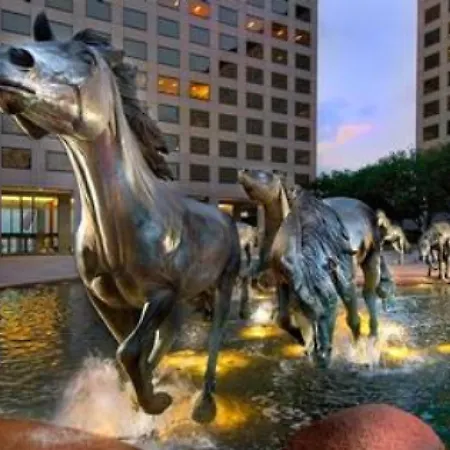 Sonesta Simply Suites Dallas Las Colinas-3